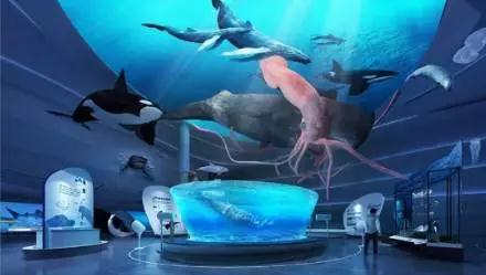 博物館展陳設(shè)計有哪些常見問題？插圖(3)